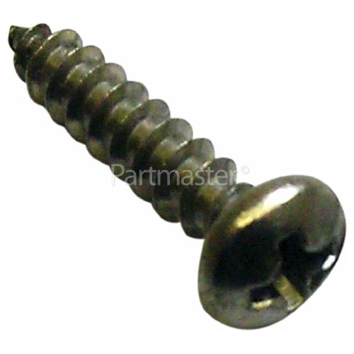 CH010 Self-Tapping Screw