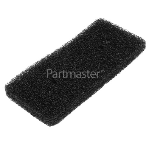 Samsung Foam Filter