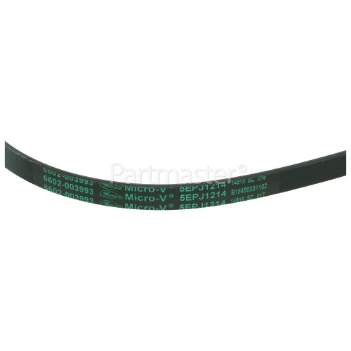 EFS Belt