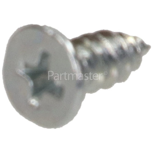 Middle Door Self Tapping Screw