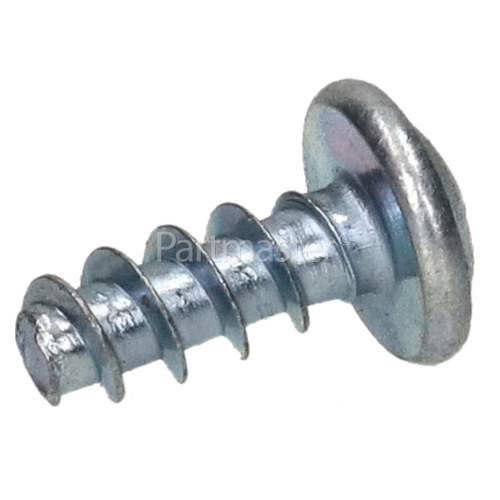 Apell Pt Screw 4X10