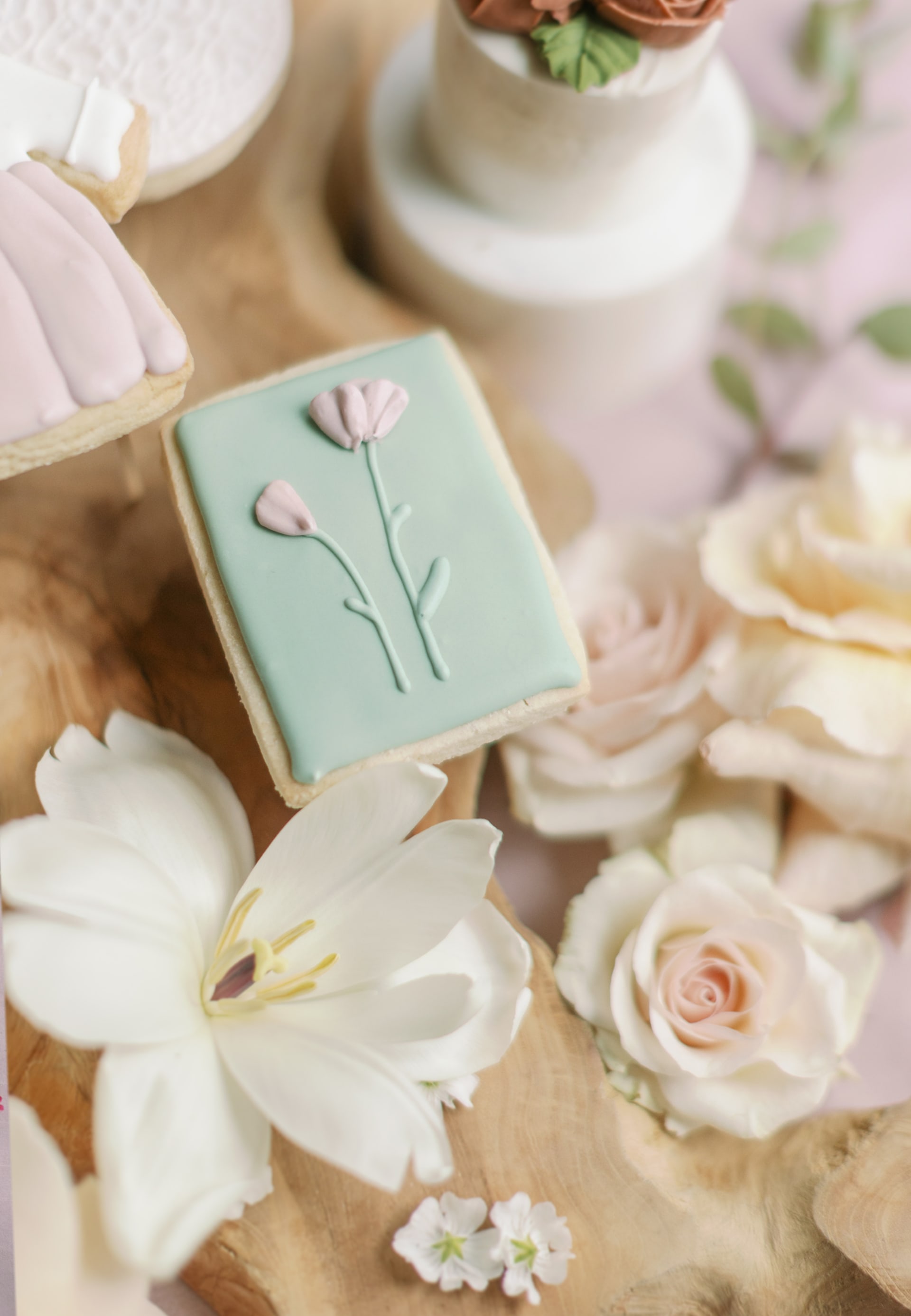 Lucy's Dohl photo 78