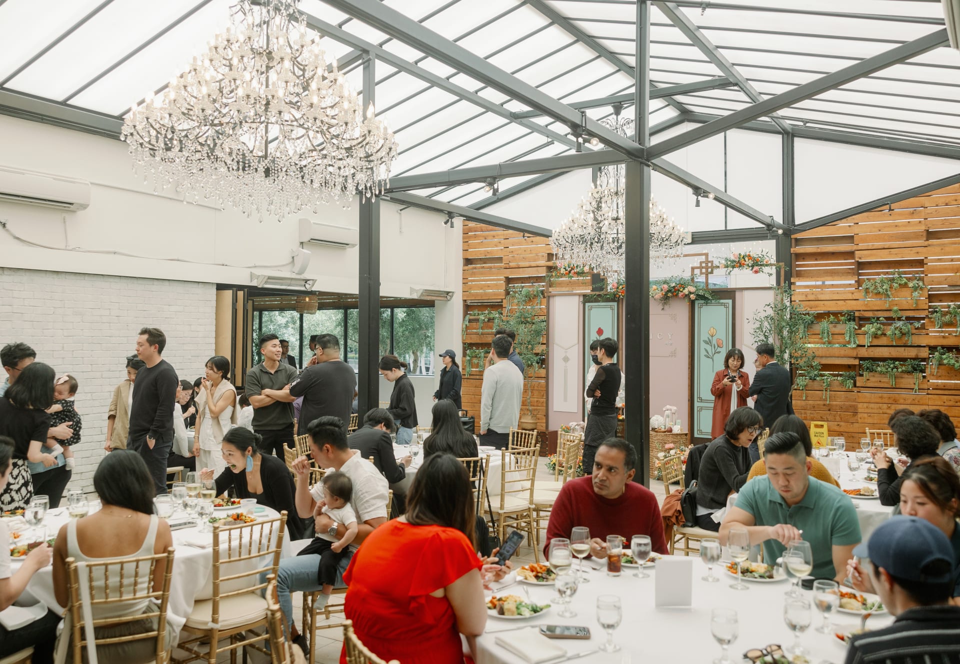 Lucy's Dohl photo 81