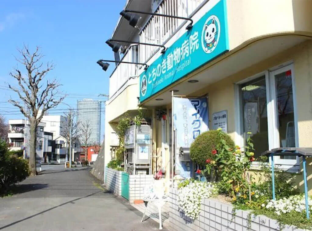 とちのき動物病院