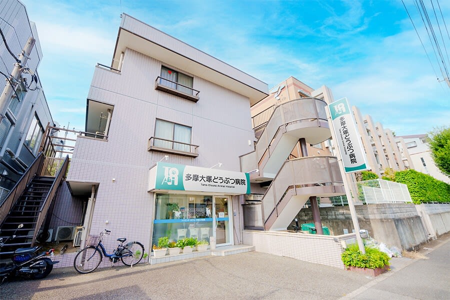 多摩大塚どうぶつ病院
