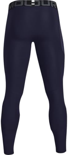 Vue 3 de Ua Hg Armour Leggings