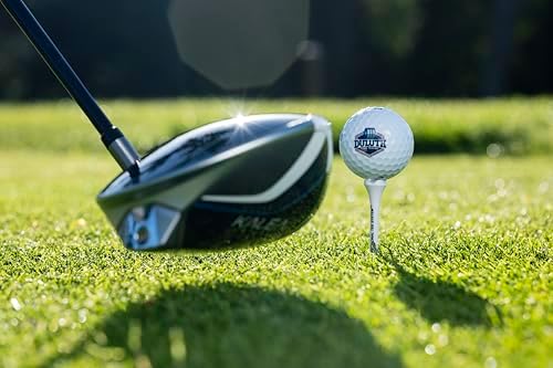 Vue 3 de Pride Professional Evolution Lot