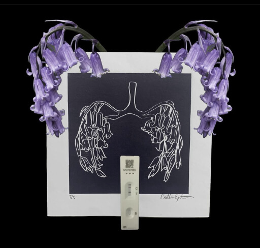 A purple lino cut print of Scottish bluebells in the shape of anatomical lungs on white paper laid over a black background with collage elements of actual bluebells above the printed lungs and a positive lateral flow COVID test in between both printed lungs.