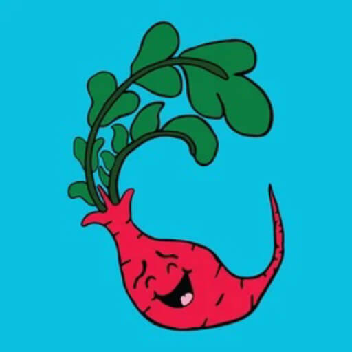 Laughing Radish Logo: A smiling red radish with green foliage on a teal background