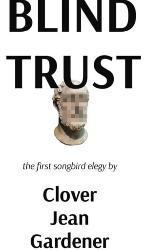 A cover of the book Blind Trust, featuring a white background with a small Greek statue that has the face pixilated into obscurity.