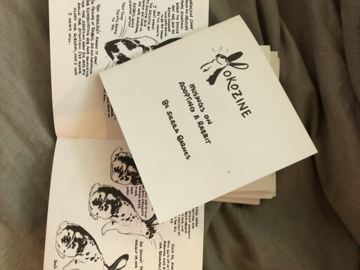 An image of three copies of a black and white zine called KOKOZINE, featuring a spotted rabbit on the cover.