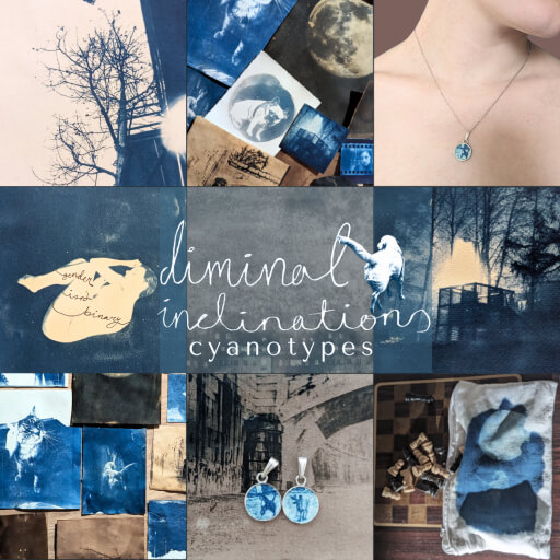 3x3 grid with nine different cyanotype photos; A tree from below, a group of photos showing a french bulldog, a moon and a jungle-gym. A person wearing a necklace with a round dog pendant. A portrait of a person with short hair (the artist) reading a book surrounded by their artwork. A skyline. A jungle-gym. Another collection of images; a cat, a golden retriever. Two pendants of dogs running next to eachother laid over the original photograph. A fabric pouch out of which chess pieces are pouring out, in it there is a golden retriever walking towards an unnaturally large moon. These are all very moody in nature. Not much detail, dark colors. Overlaid is the text "Liminal Inclinations cyanotypes"
