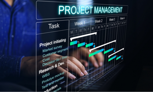 Project Management Chart, Project Management Charts