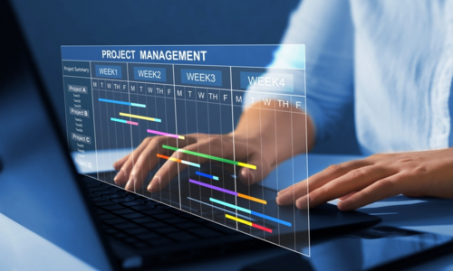 Project Schedule Management and training