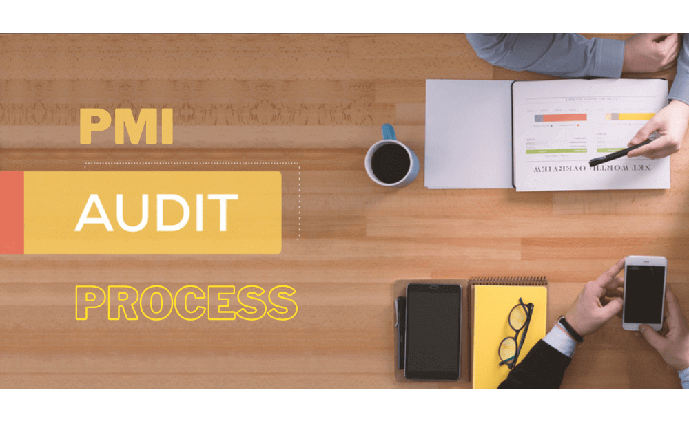 PMI Audit Process, A Comprehensive Guide to PMI Audit Process