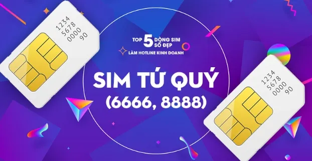 sim-tu-quy.webp
