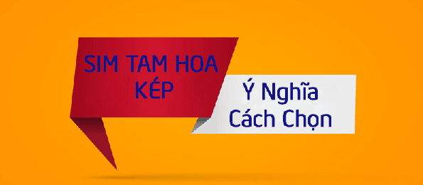 sim-tam-hoa-kep.png
