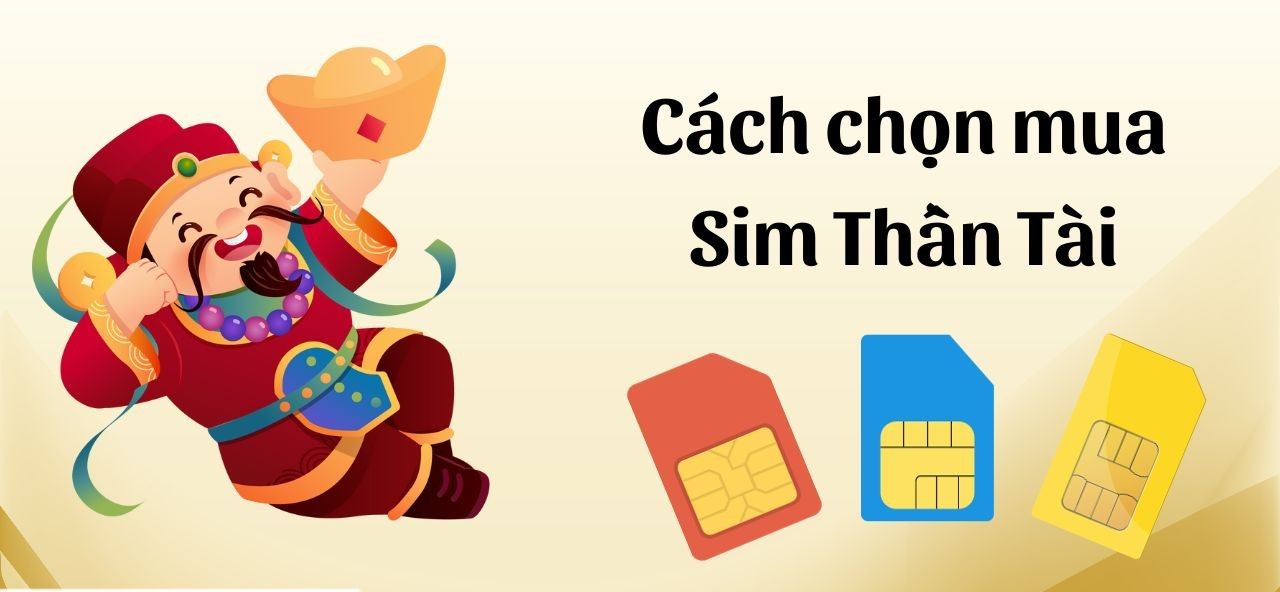 cach-chon-mua-sim-than-tai.jpg