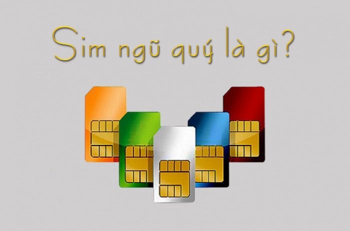 sim-so-dep-ngu-quy-la-gi_1635231156.jpg