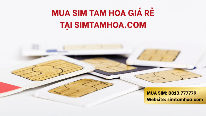 MUA SIM (1).png