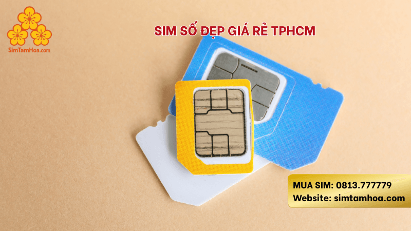 mua-sim-gia-re-tphcm.png