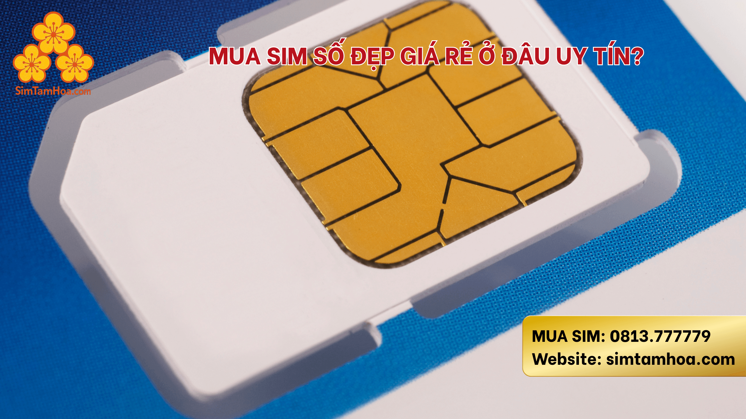 mua-sim-gia-re-o-dau-uy-tin.png