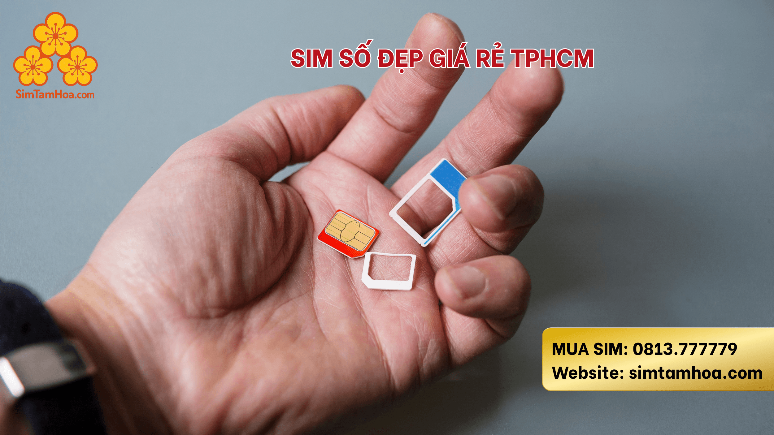 sim-so-dep-gia-re-tphcm.png