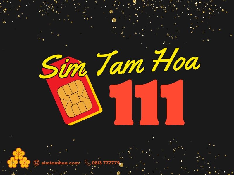 sim-tam-hoa-111.jpg