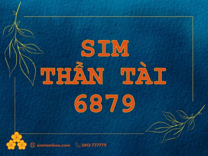 Sim Thần Tài 6879
