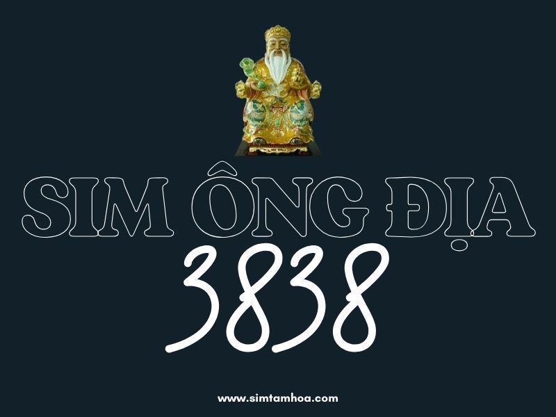 Sim Ông Địa 3838