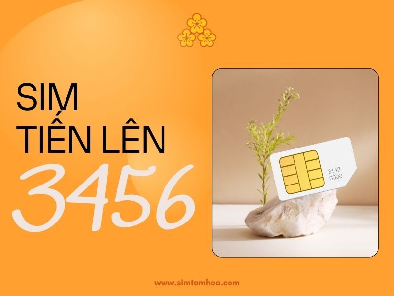 Sim Tiến Lên 3456