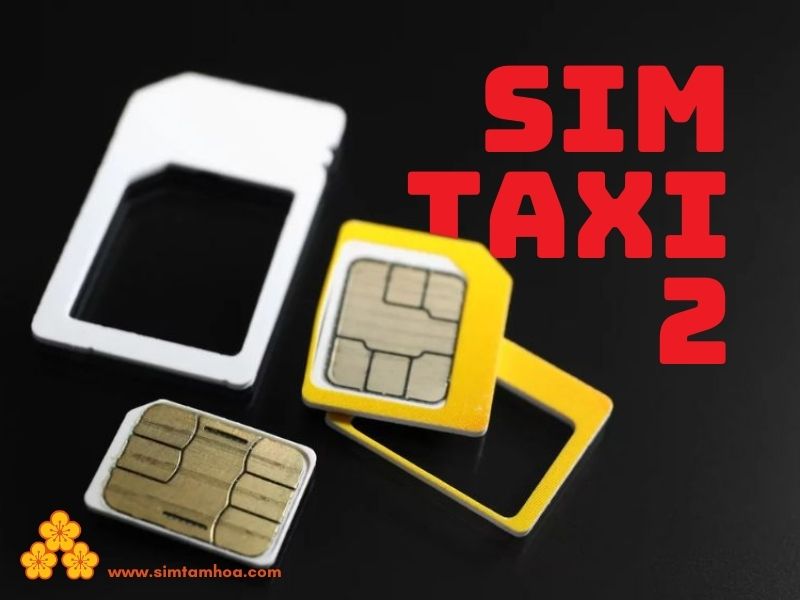 Sim Taxi 2