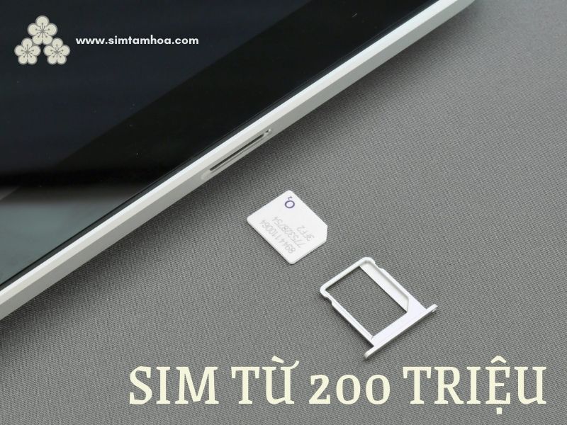 Sim trên 200 triệu