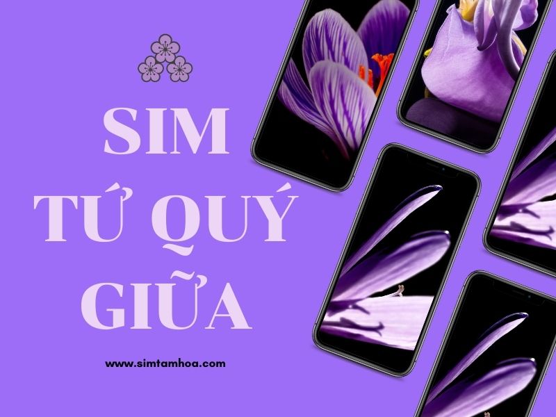 sim-tu-quy-giua.jpg