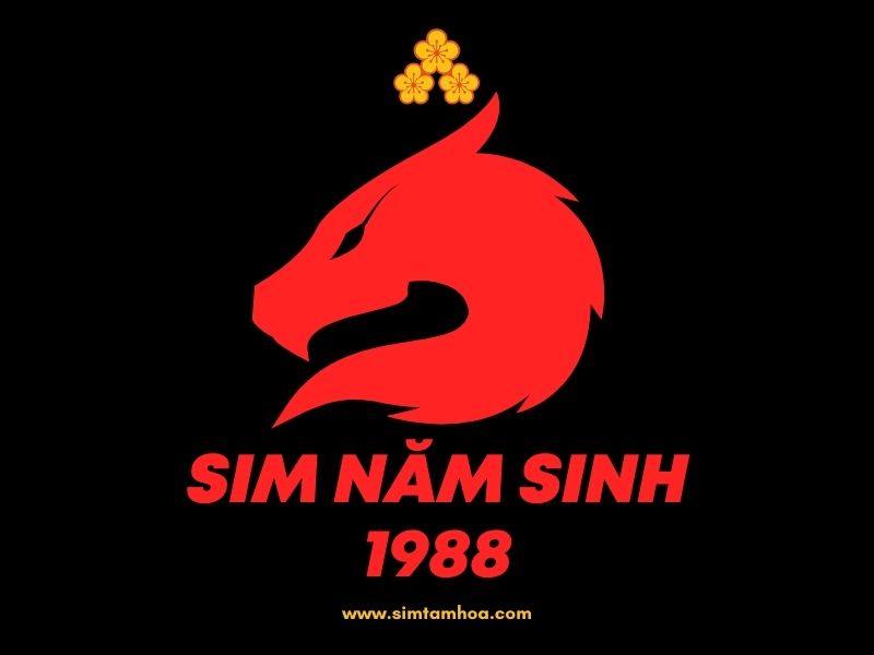 sim năm sinh 1988