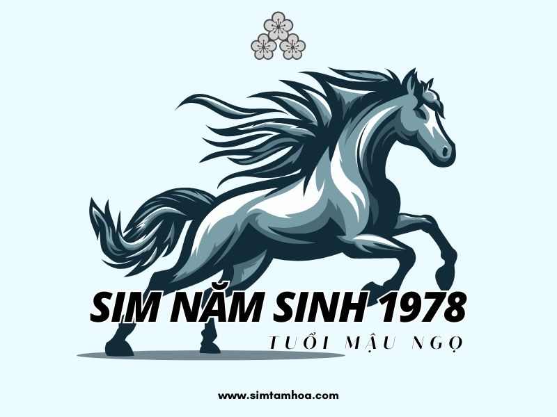 sim năm sinh 1978