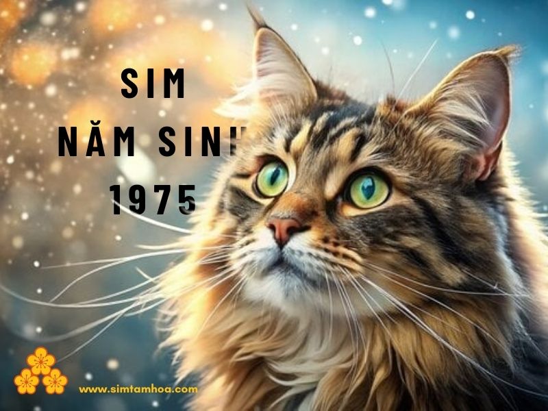 sim năm sinh 1975