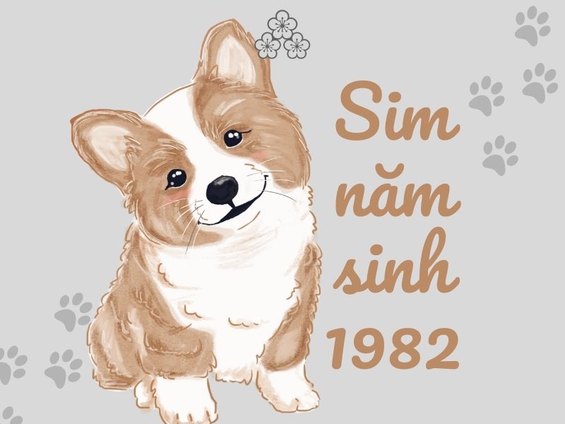 sim năm sinh 1982