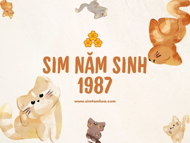 sim-nam-sinh-1987.jpg