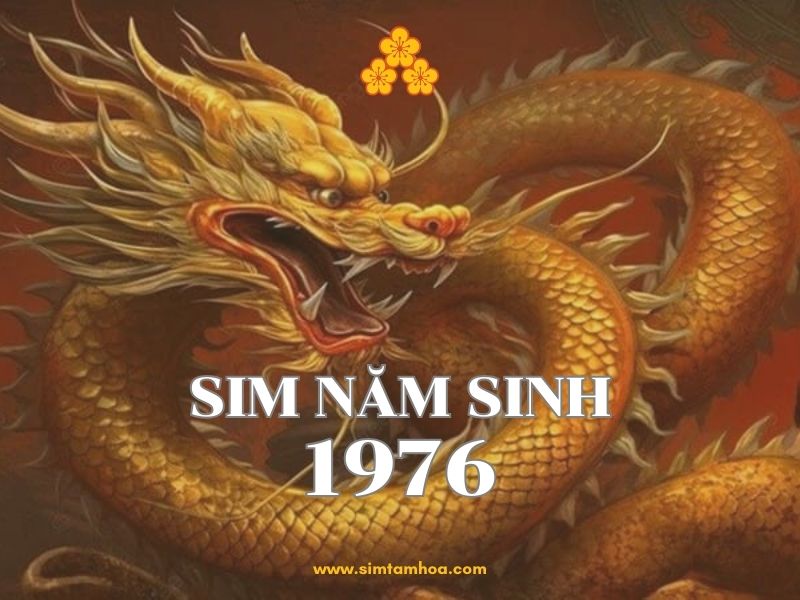 sim năm sinh 1976