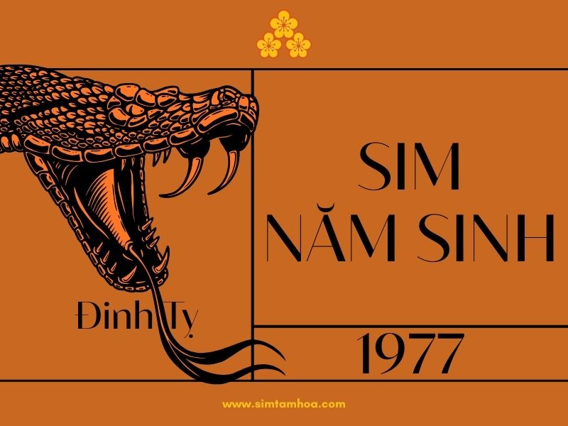 sim năm sinh 1977