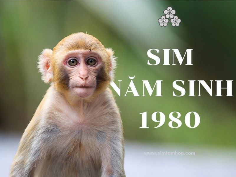 sim năm sinh 1980