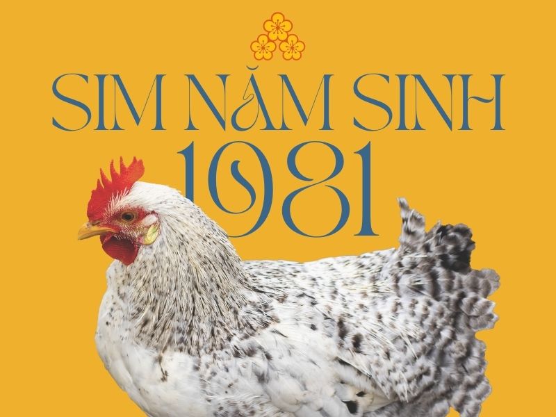 sim năm sinh 1981