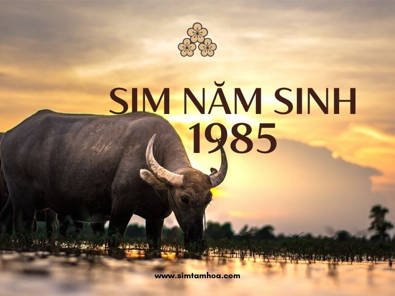 sim năm sinh 1985