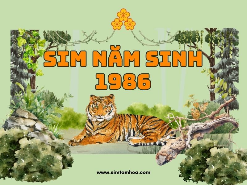 sim năm sinh 1986