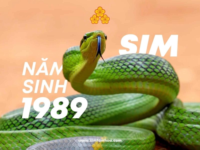 sim-nam-sinh-1989.jpg