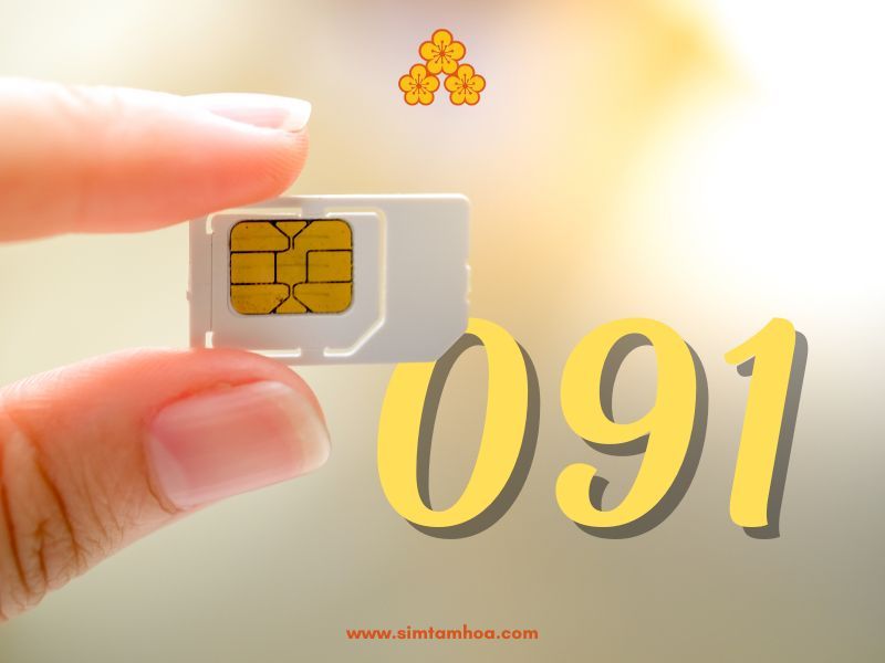 Sim số đẹp đầu 091