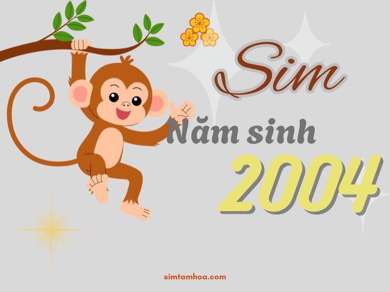 sim năm sinh 2004
