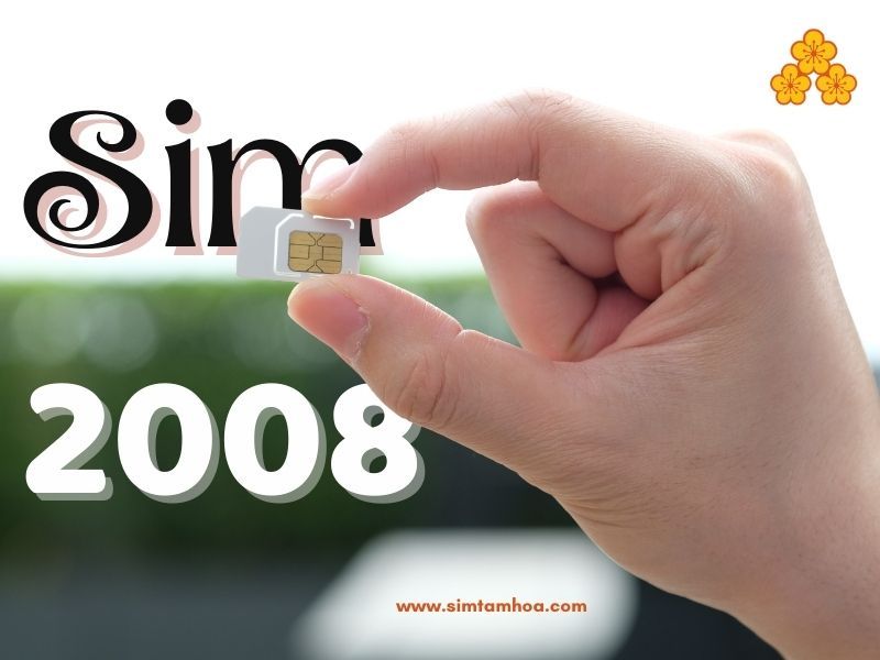 Sim năm sinh 2008
