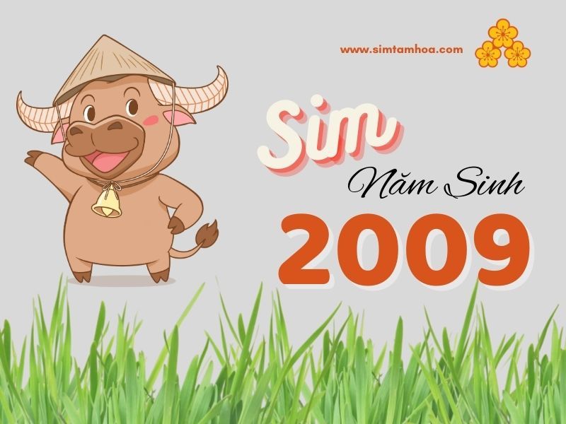 Sim năm sinh 2009